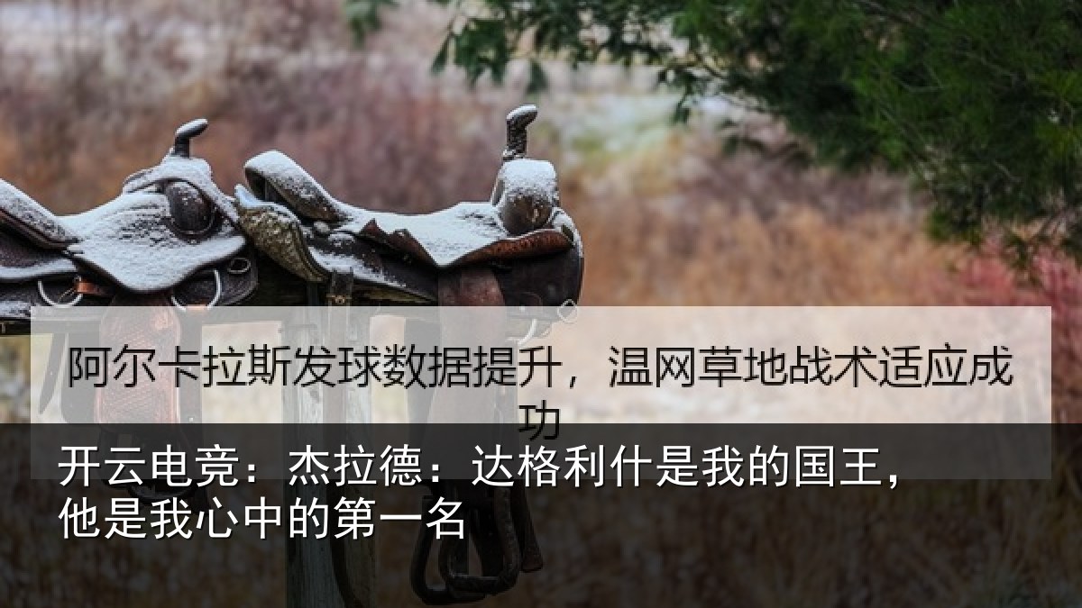 开云电竞：杰拉德：达格利什是我的国王，他是我心中的第一名