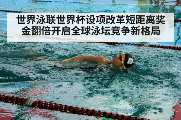世界泳联世界杯设项改革短距离奖金翻倍开启全球泳坛竞争新格局